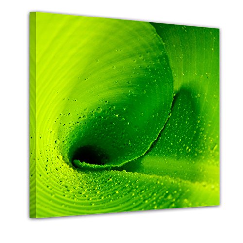 Wandbild – Set Pflanzen – 4teilig – je 20x20cm – Kunstdruck – eigene Herstellung - 3