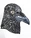 Produktbild The Rubber Plantation TM 619219293662 schwarz Latex Crow Maske Vogel Halloween Kostüm Zubehör Full Head, Unisex, ONE SIZE