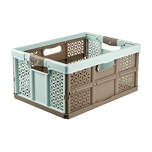 keeeper Lea Profi-Klappbox mit Softgriffen, Plastik, aquamarine/ taupe, 48 x 34.5 cm - 2