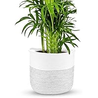 Maceteros | Amazon.es