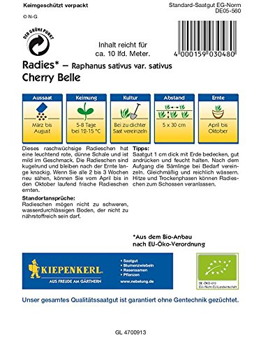Radieschen/ Radies: Rudi (Bio-Saatgut), Raphanus sativus var. sativus – 1 Portion - 2