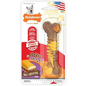 Nylabone Flavor Frenzy Regular Dura Chew Cheesesteak Flavored Bone Dog Chew Toy