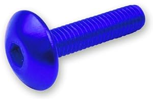 ARTIST UNKNOWN Unbekannt Screw Set 6 pezzi travestimento blu - M5 x 20