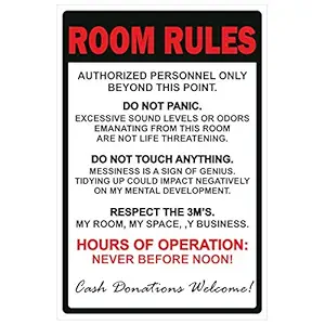 PAPER PLANE DESIGN Funny Quirky Poster For Room ( Room Rules)12 x 18 in