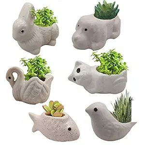 India Meets India Ceramic Flower Pot Planter Plant Pot Indoor Outdoor Planter Handicraft by Awarded Indian Artisan (Fish, Bird, Duck, Cat, Rabbit and Dog Set of 6)