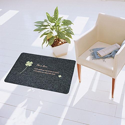 Bedroom Door Carpet Floor Mats Home Door Mats Bathroom Living Room Floor Mats Non-Slip Mat,B50 * 80cm,Coffee color