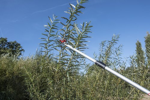 CON:P Gartenwerkzeug Alu-Greif-/Teichschere, ausziehbar, mehrfarbig - 2