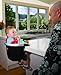 Phil and Teds Lobster Highchair Red