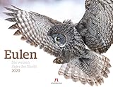  Eulen - weise Jäger der Nacht 2020, Wandkalender im Querformat (54x42 cm) - Tierkalender / Vogelkalender mit Monatskalendarium