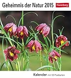 Image de Geheimnis der Natur Postkartenkalender 2015: Kalender mit 53 Postkarten