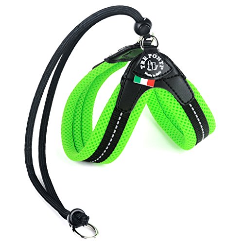 Preisvergleich Produktbild TRE PONTI Lätzchen Fluo Cl Grün und Leinen Maulkorb Hund