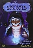 Une mystérieuse disparition. La Maison des secrets, tome 4 (4)
