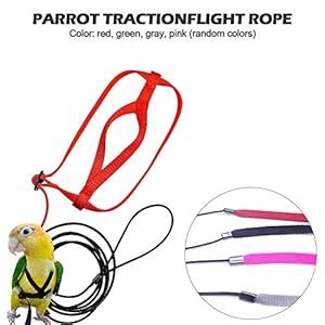 Parrot Flying Leash Correa para Pájaros The Aviator Mascota Arnés Y Correa para Aves Cuerda Voladora Nylon Entrenamiento De Tracción Anti-mordida Correa para Llevar Al Aire Libre