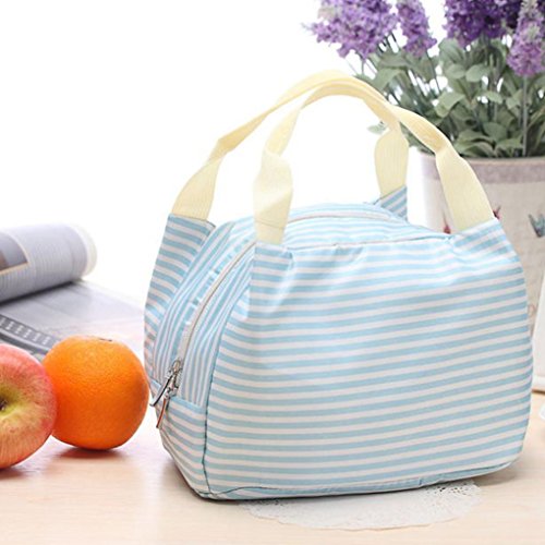 Zolimx Tragbare Lunch Bag Tote Picknick Isolierte Kühler Reißverschluss Veranstalter Brotdose (Blau)