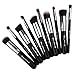 Silking 10pcs Professional Makeup Brush Set Eyebrow Shadow Cosmetic Brush Tool Kit (Silver/ Black)