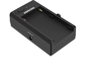 NP-F Batteriplatte mit USB C IN/Out Dual DC 12V 8.4V Out, ANDYCINE NPF-G2 Multifunktions Akku Adapter Für Sony A7 A9/BMCPC 4K 6K/GH5/Z6 Z7，Type-C-PD IN mit LED Anzeige 1/4" Schraubloch