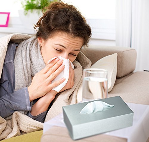 Luxus Kosmetikbox aus mattem Edelstahl Kosmetiktücher-Box Taschentuchbox - 2