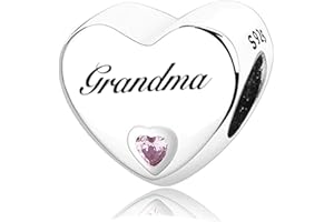 MsRosy New Women's S925 Sterling Silver Hearts Charms Moments For Bracelets and Necklaces Gift For All the Family and Friends