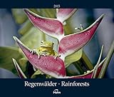 Regenwälder 2015 by 