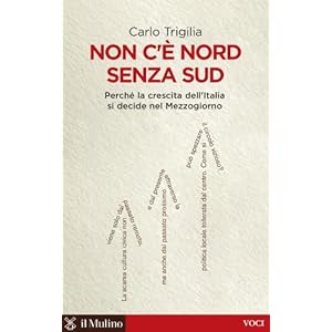 Non c'è Nord senza Sud: Perché la crescita dell'Italia si decide nel Mezzogiorno (V