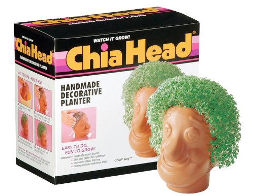 Chia Pet Grass Planter: Guy