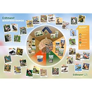 Erdtmanns Westerland - Mangiatoia per semi