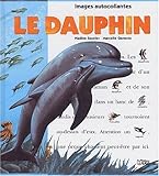 Un jour, Un animal : Le dauphin
