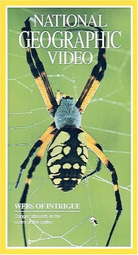 Preisvergleich Produktbild Webs of Intrigue [VHS]