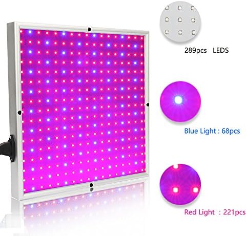 Led Grow Light Bulb,Derlights E27 Full Spectrum Plant Lights,Growing Lighting Hydroponic Lamp For Indoor Plant Garden Bonsai Greenhouse Flower Seeds Growth, 30W