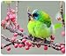 Produktbild Mouse Pad Asian Woodpecker Customized Rectangle Mousepad, Gaming Mouse Mat