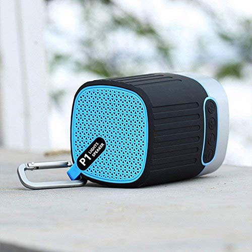 ANTEER Portable Bluetooth Speaker 4.2 with Light LED Loud Stereo Sound Rich Bass 10 Hour Playtime 33 ft Bluetooth Range, Built-in Mic Wireless Mini Speaker for iPhone, Samsung and More