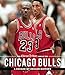 Produktbild The Chicago Tribune Book of the Chicago Bulls: A Decade-by-Decade History