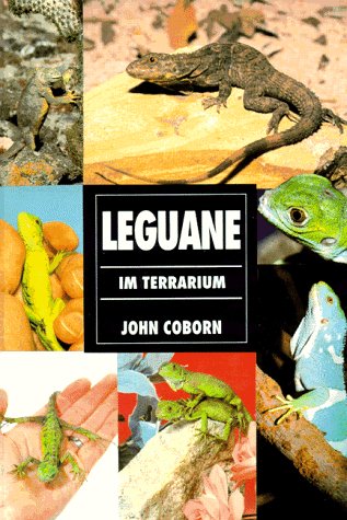 Preisvergleich Produktbild Leguane im Terrarium
