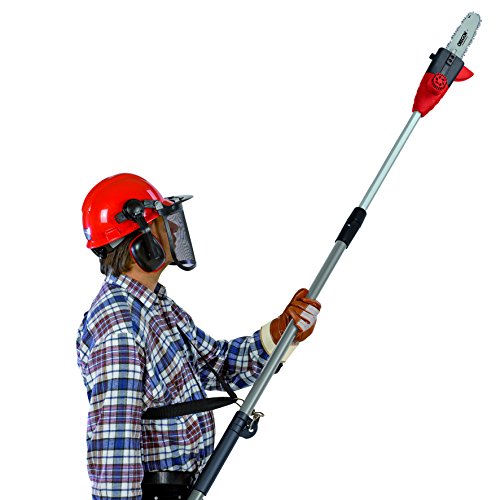 Einhell Akku Hochentaster GC-LC 1815 T (Lithium-Ionen Akku 18 V, 1,5 Ah, Teleskop, 200 mm Schnittlänge, Schnell-Ladegerät, Tragegurt) - 2
