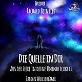 Die Quelle in dir: Aus der Leere in deine Unendlichkeit by Fabian Wollschläger, Richard Heinrich
