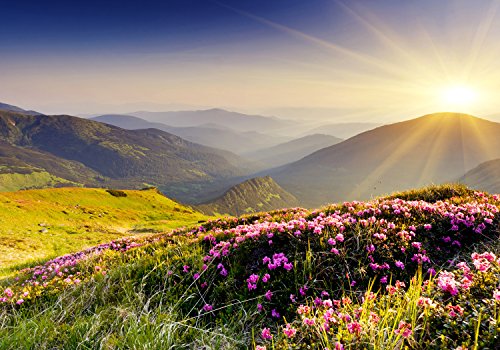 Vliestapete Bergrücken im Sonnenlicht VT511 Größe:400x280cm, Fototapete, Vlies Tapete, High Quality, PREMIUM Bildtapete, Tapete Berge Sonne Blumen - 2