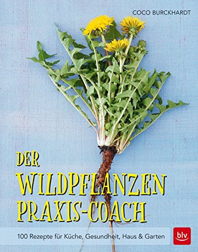 Download Der Wildpflanzen Praxis-Coach: 100 Rezepte für Küche, Gesundheit, Haus & Garten