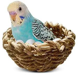 Seagrass Bird Nest, Lets Your Bird Feel Cozy and Right at Home, Easily Attachable to cage, 2 Metal Hooks Included, Perfect for Feeding or breeding for Canaries, Budgies or Finches