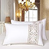 Takmeway Plumes Velours Oreiller orthopédique Cou Oreillers hôtel Cinq étoiles de Couchage Oreillers Mémoire Santé 100% Coton Couverture 2pcs