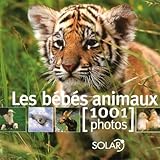 BEBES ANIMAUX EN 1001 PHOTOS