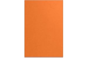 ‎KOPIERLADEN KARNATH GMBH Bindekarton/Deckblatt/Rückblatt, orange 240 g/m² DIN A4, 100 Stück in Lederstruktur - Einbanddeckel für Bindungen, Umschlagmaterial