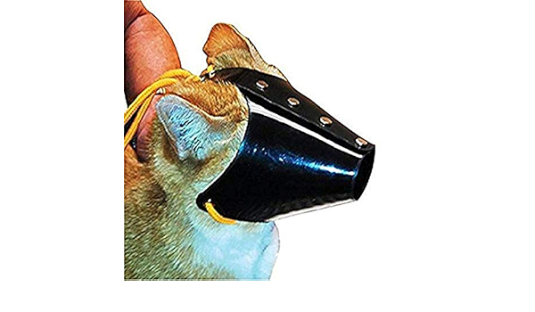 jorvet cat muzzle