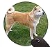 Produktbild Akita Inu Dog Stand Grass Loyalty Customized Round Non-Slip Rubber Print Mouse pad 7.8 inch (200mm)