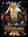 Produktbild Pyramid International Harry Potter (Dumbledore) 30x40 cm gerahmter Druck, 250GSM PAPERWRAP MDF, Mehrfarbig, 44 x 33 x 4 cm