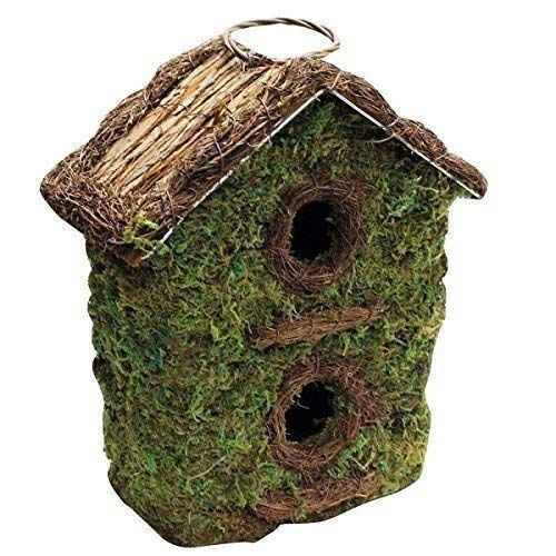 Mangeoire En Bois Petit Oiseau Nichoir Nid Jardin Robin Wren