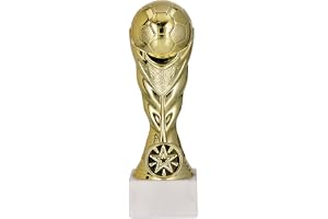 Larius fotboll pokal hederspris trofé – ST1