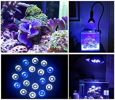 DLPJ LED Aquarium lamp Par38 high-power high-efficiency Blue and White Led Coral Light 27W 36W 45W 54W (27)