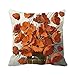 Produktbild poppylife orange Poppy Flower Kissenbezüge für Sofa Kissen Home Decro, #Poppylife-04, 24"X 24"