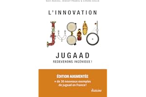 L'Innovation Jugaad - Redevenons Ingénieux !