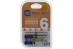 Bricard 17471 Cylindre de serrure double entrée Chifral S2 40+40 Nickelé